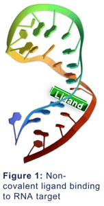 Use Case_ Small molecule ligands targeting RNA Fig 1